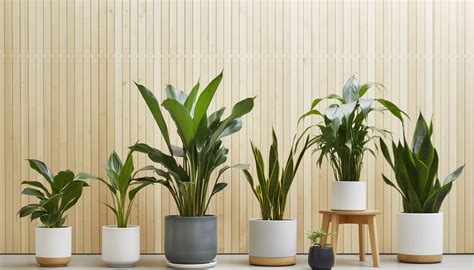 Houseplant (company) .